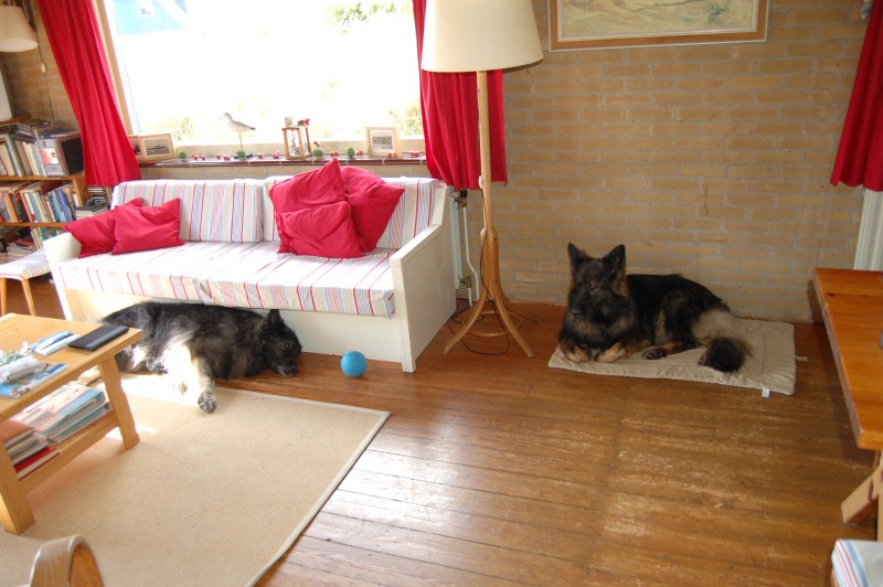 Xerus en Zaza op Vlieland (23).jpg